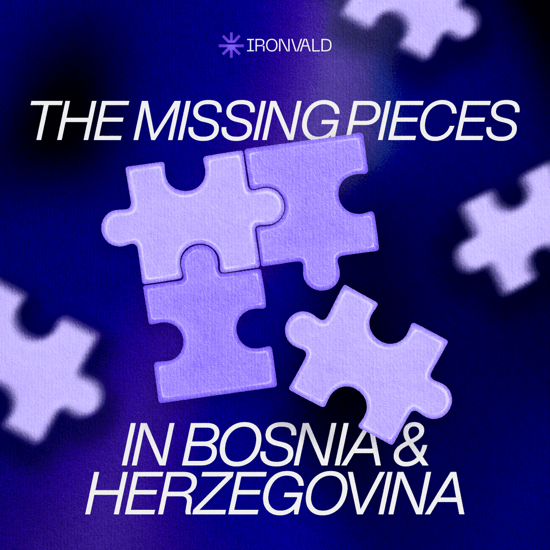 The State of Critical Infrastructure Protection in Bosnia and Herzegovina